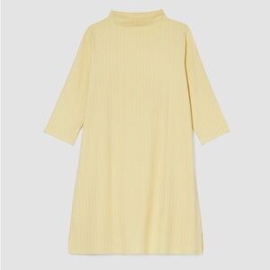 Eileen Fisher Washable Stretch Rib Funnel Neck Dress NWT